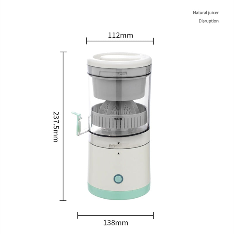 Mini Juicer